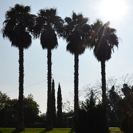 Villa Montanari Rosati Porto San Giorgio Eksteriør bilde