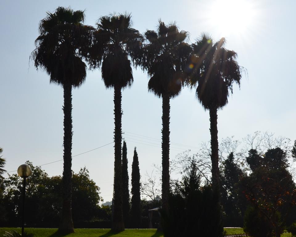 Villa Montanari Rosati Porto San Giorgio Eksteriør bilde